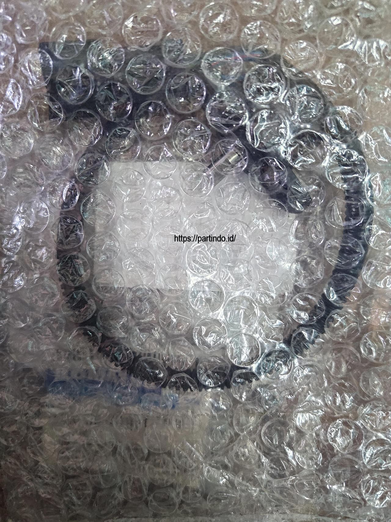 17A-06-41981 17A0641981